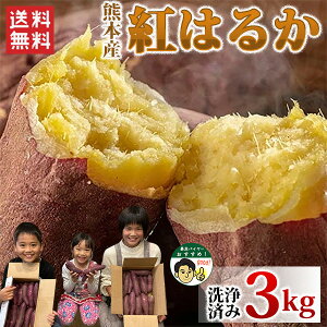 F{Y g͂邩 3kg  yS`MTCY ԂȂ ς Tc}C   Ă F{Y (wzs) (o) (1224t܂ŔN) (kCEʓr