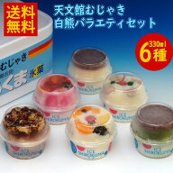 【ポイント5倍】天文館むじゃき白熊バラエティセット 送料無料 天文館 むじゃき 白熊 本家 ベビー 白熊 …
