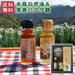 ˂KpX^ /  y_ ˂ ˂[ KpX^? pX^ /  j j Mtg v[gikCEʓrj