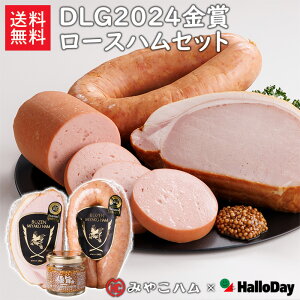 yN[|10OFFz݂₱n DLG2024܃[XnZbg MDG|H1 Ɏ|}X^[hR{  `[Xn Q_?tN Ɏ|̃}X^[h X[NMtg n\[Z[