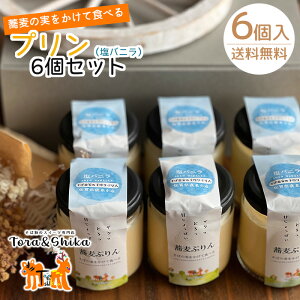 ܎R_ ΂̎ĐHׂviojj6Zbg  Oet[ XC[c ΂̎ Oet[v v oj 6 ΕXC[c X Tora&