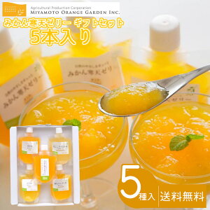 ~gIWK[f ݂񊦓V[[ MtgZbg5{  ރ[[ 5 Q l 150g pE` MtgZbg 蕨 v[g (Els) (kCEʓr