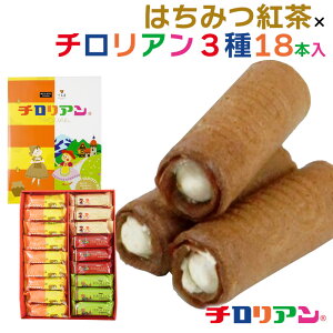 ݂͂g`A318{ / `A n[fCIWi 璹\{ ݂͂g oj Xgx[ `R[g v18{ ilΉsj