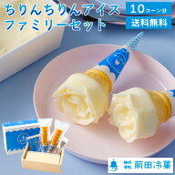 【クーポンで333円OFF】前田冷菓 ちりんちりんアイス・ファミリーセット（プレーン）送料無料 アイス ア…