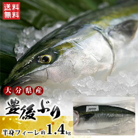 大分県産 豊後ぶり 半身フィーレ 約1.4kg×1枚（1.2～1.6kgサイズ）【冷蔵】送料無料 ぶり 半身 贈答品 新物 鰤フィレ 養殖ブリ 産地直送 新鮮 刺身 しゃぶしゃぶ 照り焼き 鰤かま　嫁ぶり（配送日指定不可）（北海道・沖縄別途送料）