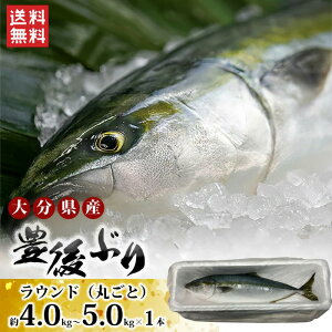 啪Y@LԂ@Eh@4.0`5.0kgTCY@1{y①z ۂ Ԃ J} ؂g g i V {Bu Yn VN hg Ԃ ƂĂ ܂ łԂiz