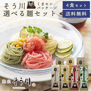 Iׂ˃Zbgi܃pbP[Wj4HZbg  セ ߂   䖳 F{Y100 ˗ 񂹃O p 퉷ۑ ܖ1.5N (Nb