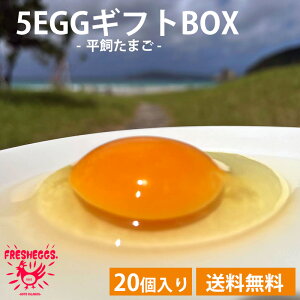 5EGGi܂j MtgBOXi20j  20 ܂   VN Y{ p_ _ƒ Η{{ ܓ  (N[֔z) (ws) (kCEꔭs)