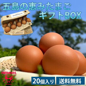 五島の恵みたまご ギフトBOX(20個入) 送料無料 20個入り たまご 卵 生卵 新鮮卵 純国産鶏 専用農場 農家直送 大石養鶏場 五島 長崎 (クール便配送) (配送日時指定不可) (北海道・沖縄発送不