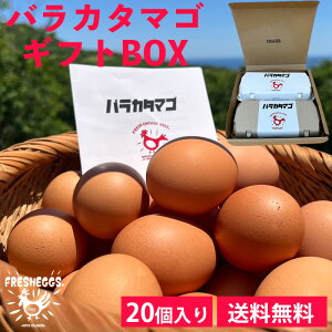 バラカタマゴ ギフトBOX(20個入)送料無料 20個入り たまご 卵 生卵 新鮮卵 純国産鶏 専用農場 農家直送 大石養鶏場 五島 長崎 (クール便配送) (日時指定不可) (北海道・沖縄発送不可)