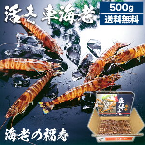 ԊCV500gi{Bj F{ V {BԊCV ԊCV CV̕ j 蕨 i 퉷z ii̓KzIтj(kCEꓙꕔn攭s)