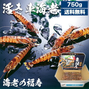 ԊCV750gi{Bj F{ V {BԊCV ԊCV CV̕ j 蕨 i 퉷z ii̓KzIтj(kCEꓙꕔn攭s)