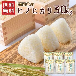 ヒノヒカリ 30kg」の人気商品一覧 | 安い商品を通販サイトから探す 