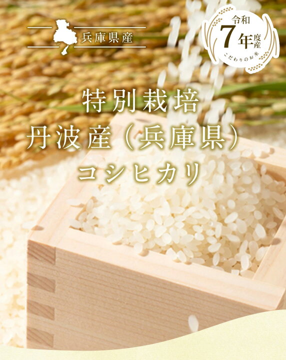 楽天市場】令和7年 特別栽培 丹波産（兵庫県）コシヒカリ20kg（5kg×4袋 