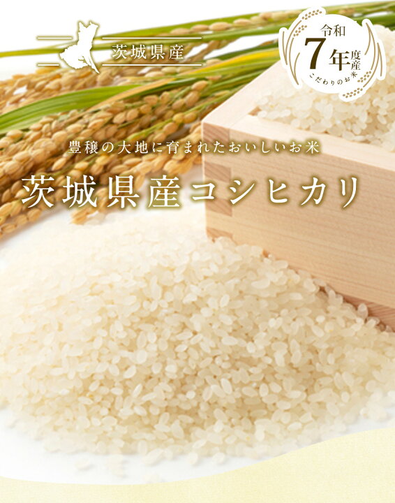 楽天市場】【抽選で50,000ptプレゼント】令和7年 茨城県産 コシヒカリ 