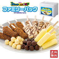 【15日限定！ポイント5倍】竹下製菓 ブラックモンブラン ファミリーパック (5種類) 送料無料 アイス アイ…