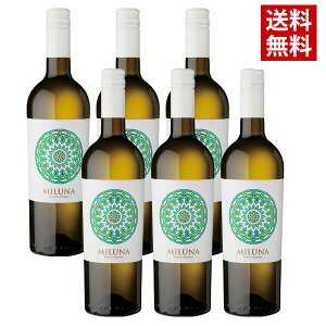 ~[i rAR@ebEfBET@ 6{Zbg /  C C^AY 6{Zbg h nEXC 750ml / (s)ikCEʓrj