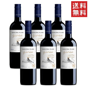 CXtFyGh[Y@_VOtC@[@6{Zbg /  `Y ԃC 750ml / (s)ikCEʓrj