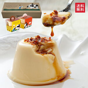 ~NuՂ4 /  啪 z@ e ݂͂   yY B Mtg  XC[c v[g qikCEʓrj