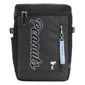 bNTbN PEANUTS s[ibc bN BOX LbYbN  SNOOPY Xk[s[ XNGAbN  WjA w wۈ  Vv y ʊw w m K lC PC A4 20L N