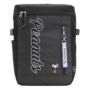 �����b�N�T�b�N PEANUTS �s�[�i�b�c �����b�N BOX �L�b�Y�����b�N ���� SNOOPY �X�k�[�s�[ �X�N�G�A�����b�N �� �W���j�A �w�� �w���ۈ� ���� �V���v�� �y�� �ʊw ���w�� �m �K���� �l�C PC A4 20L �Z