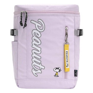 bNTbN PEANUTS s[ibc bN BOX LbYbN  SNOOPY Xk[s[ XNGAbN  WjA w wۈ  Vv y ʊw w m K lC PC A4 20L N