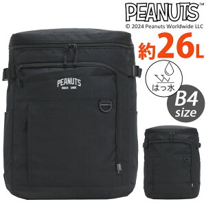 PEANUTS s[ibc bN 2025 t V obNpbN fCpbN XNGAbN XNGA BOX obO Jo ʋ ʊw  s Z w jZbNX bN ubN  A4 B4 