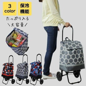 ショッピングカート 折りたたみ 保冷 高齢者 おしゃれ 大容量 ブランド フェス レジャー キャリーカート キャリーバッグ 買い物カート 折り畳み ショッピングバッグ キャリー エコバッグ フ
