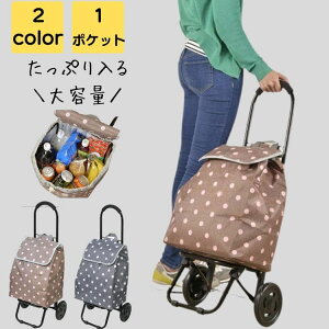 ショッピングカート 折りたたみ軽量 保冷 高齢者 シニア おしゃれ 大容量 ブランド フェス レジャー キャリーカート キャリーバッグ 買い物カート 折り畳み ショッピングバッグ キャリー エ