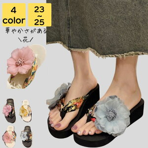 gOT_ q[ fB[X   Ȃ ₷  C r[` v[ ][g y s l i r Xgbv Vv JWA  LC 킢 tF~