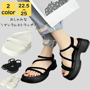 T_ fB[X   Ȃ ₷  C r[` v[ ][g y s l i r Xgbv Vv JWA  LC 킢 tF~j 20 30 40