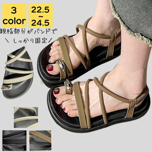 T_ fB[X ؂  Ȃ ₷  C r[` v[ ][g y s l i r Xgbv Xbp Vv JWA  LC 킢 tF~