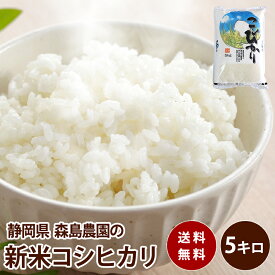 楽天市場 米 静岡県産の通販
