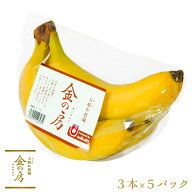 【フィリピン産】金の房 バナナ 天晴れ農園 3本パック×5セットバナナ 業務用 送料無料 ばなな あっぱれ …