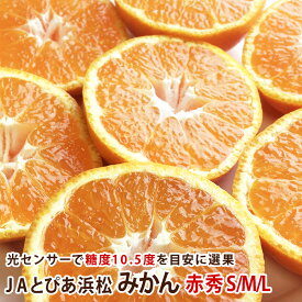 JAとぴあ浜松　早生とぴあみかん 赤秀S/M/L 5キロ～10キロ【送料無料】【5kg】【10kg】送料無料みかん ミカン 蜜柑 お歳暮 ギフト 送料無料 甘い 直売 糖度 お取り寄せ mikann 静岡 産地 数量限定