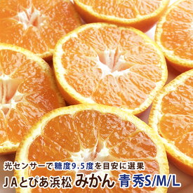 JAとぴあ浜松　早生とぴあみかん 青秀 S/M/L 5キロ～10キロ【送料無料】【5kg】【10kg】送料無料みかん ミカン 蜜柑 お歳暮 ギフト 送料無料 甘い 直売 糖度 お取り寄せ mikann 静岡 産地 数量限定