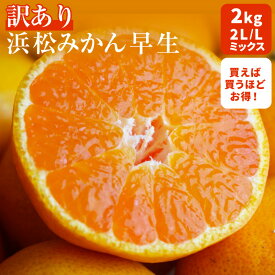 【11月中旬より入荷次第発送】訳あり 三ヶ日 浜松みかん 2L L ミックス 2kg2箱購入で送料無料 三ヶ日 みかん三ケ日みかん 【3箱購入で1箱おまけ付き】【2kg】 みかん ミカン 三ヶ日 糖度10度 送料無料 お歳暮 ギフト プレゼント 蜜柑 甘い 糖度 産直