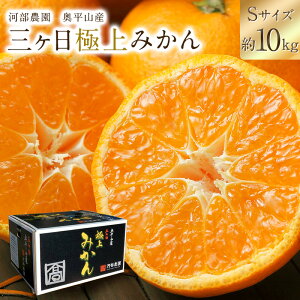 yʌ 11{׎揇z ͕_ RY Oɏ݂ STCY MTCY 5L 10L O ݂ ~J  Ε Mtg Â  x 