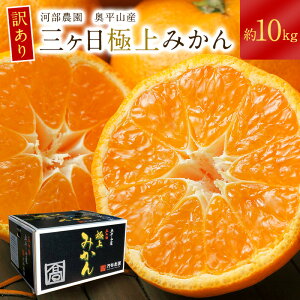 y11{׎揇z󂠂O݂yʌ ɏ11{׎揇z   ͕_ RY Oɏ݂ 5L 10L 󂠂 O