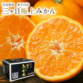 【11月下旬より入荷次第順次発送】訳あり三ヶ日早生みかん【数量限定 極少量】 早生 送料無料 河部農園 奥平山産 三ヶ日極上みかん 5キロ 10キロ 訳あり 三ヶ日 みかん ミカン 蜜柑 mikann 静岡 産地みかん 三ヶ日みっかび 5k 10k