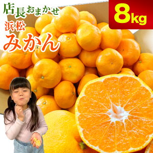 yÉlsYzX܂l݂ 2kg 3kg 4kg 8kg 󂠂iiA傫AsAAŏj ~J  t[c e Ɩp ݂ ~J  Ε Mtg v