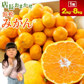【静岡県浜松市産】店長おまかせ浜松みかん 2kg 3kg 4kg 8kg 訳あり（品種、大きさ、不揃い、味自慢、味で勝負） ミカン 蜜柑 青い 極早生 フルーツ 大容量 業務用 みかん ミカン 送料無料 お歳暮 ギフト プレゼント みかん 蜜柑 mikann 糖度 お取り寄せ 浜松産