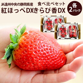 【静岡県産】紅ほっぺDX2p、きらぴ香DX2p　食べ比べセット合計4パック紅ほっぺ いちご イチゴ バレンタイン 紅ほっぺ いちご 静岡