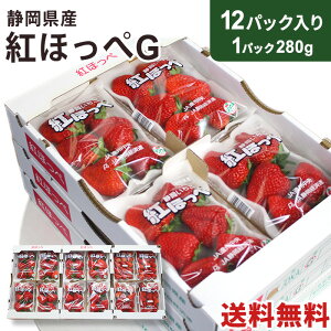 yÉYzgق G 12pbN 1pbN280g  ō@N[ց@  C`S