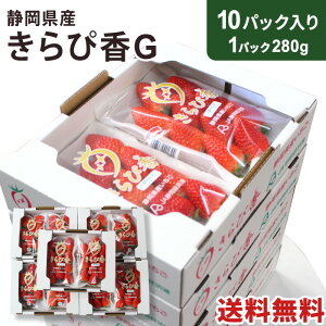 yÉYzҍG 10pbN 1pbN280g  C`S  t[c 嗱 e É  N[ lΉ bZ[WΉ