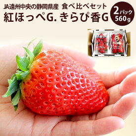 静岡県産紅ほっぺDX1p、きらぴ香DX1p　食べ比べセット合計2パック紅ほっぺ いちご イチゴ バレンタイン 紅ほっぺ いちご 静岡
