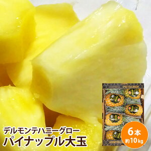 �y�t�B���s���Y�z�n�j�[�O���[ ��� 6�{���� ��10�L���p�C�i�b�v�� �p�C�� ���Z�x �v���~�A�� �t���[�c ��������