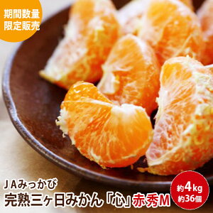 yʌׁzJA݂сuSv nO݂ ԏGS 4L 44 ԏGM 4L 36 ԏGL4L 28 GS 4L 44 GM 4L 36 GL4L 28 G2L3.5L