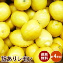 【アメリカ産】訳あり レモン　4キロ 大特価送料無料　訳あり ギフト 果物 フルーツ