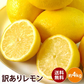 【アメリカ産】訳あり レモン　4キロ 大特価送料無料　訳あり ギフト 果物 フルーツ